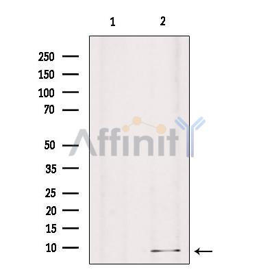 Валидация Affinity DF9563 - 22235