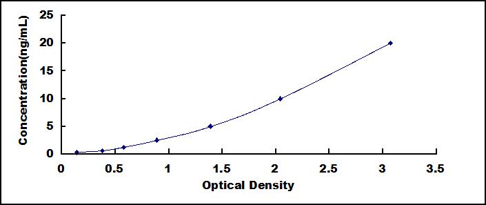 33677