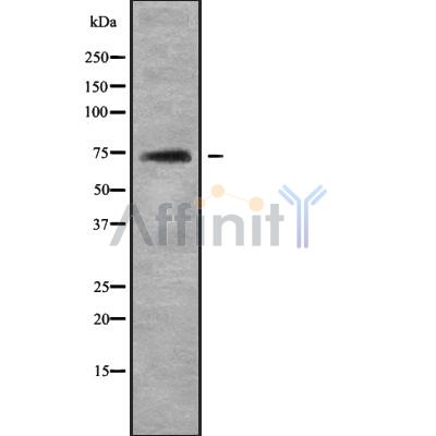 Валидация Affinity DF9452 - 22030