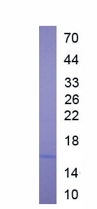 65428