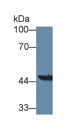 8870