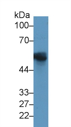 10483