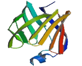 Fatty Acid Binding Protein 1, Liver (FABP1)