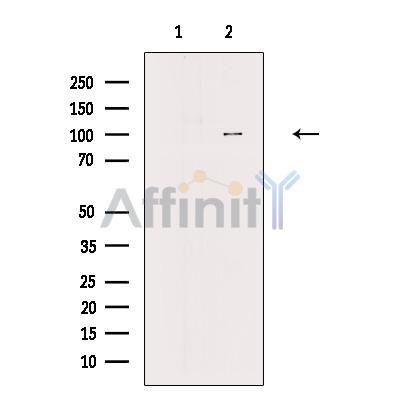 Валидация Affinity DF12347 - 6779