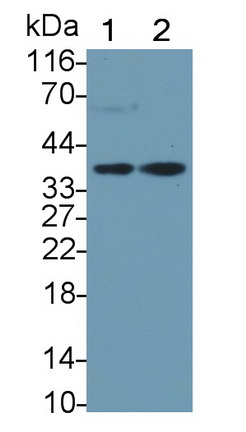 10472