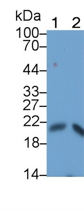 892