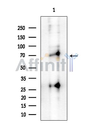 Валидация Affinity DF7567 - 19324