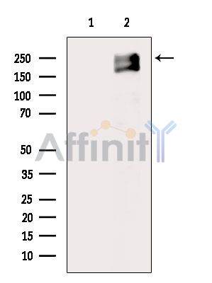 Валидация Affinity AF6916 - 4112
