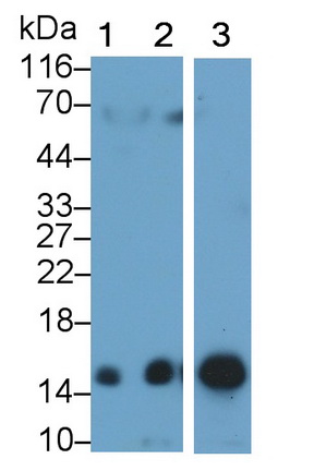 13381