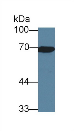 13649
