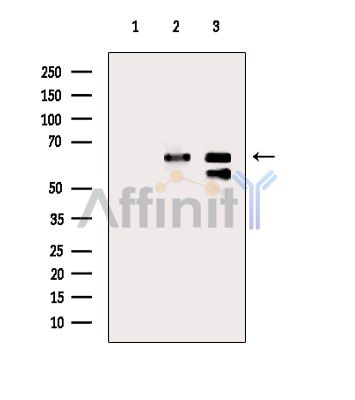 Валидация Affinity DF9921 - 22903