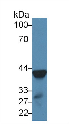 13735