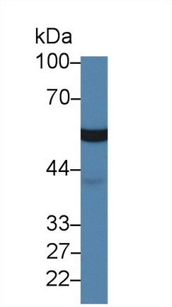14332