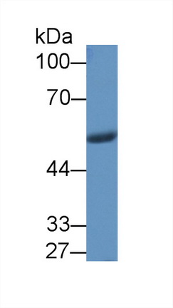 8457