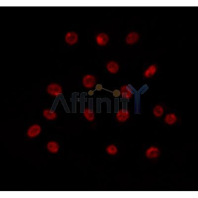 Валидация Affinity DF12106 - 6233