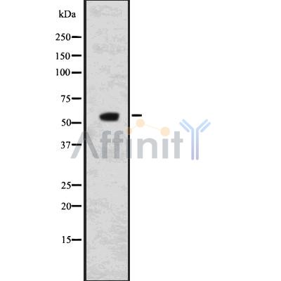 Валидация Affinity DF7579 - 19346