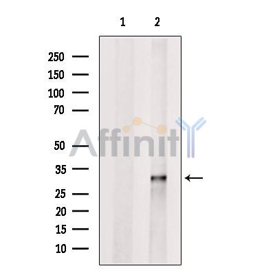 Валидация Affinity DF13444 - 8775