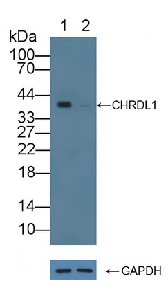 12179
