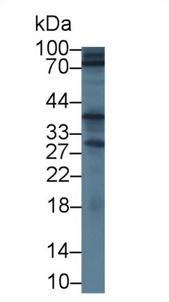 8895