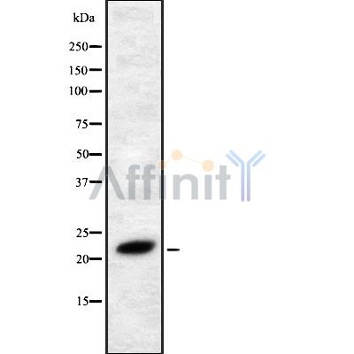 Валидация Affinity DF8948 - 21114