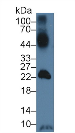 9479