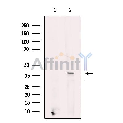 Валидация Affinity DF13234 - 8280