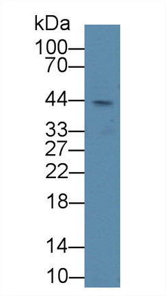 8793