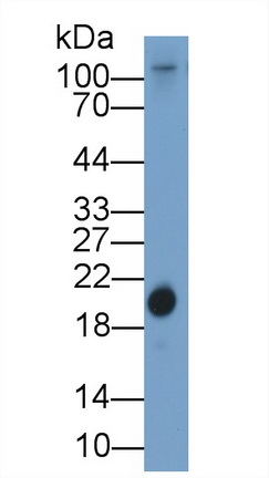 10230