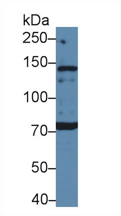 12471