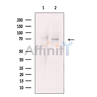 Валидация Affinity DF13240 - 8295