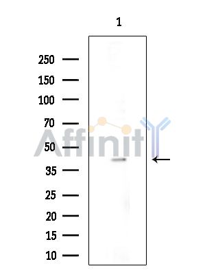 Валидация Affinity DF14138 - 9935