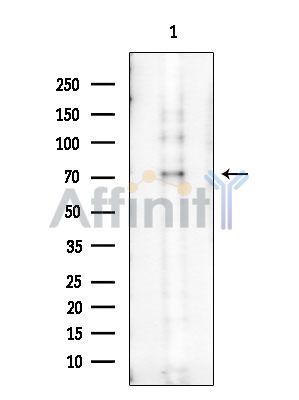 Валидация Affinity AF6394 - 3687