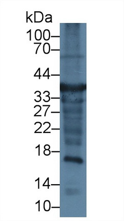 14713