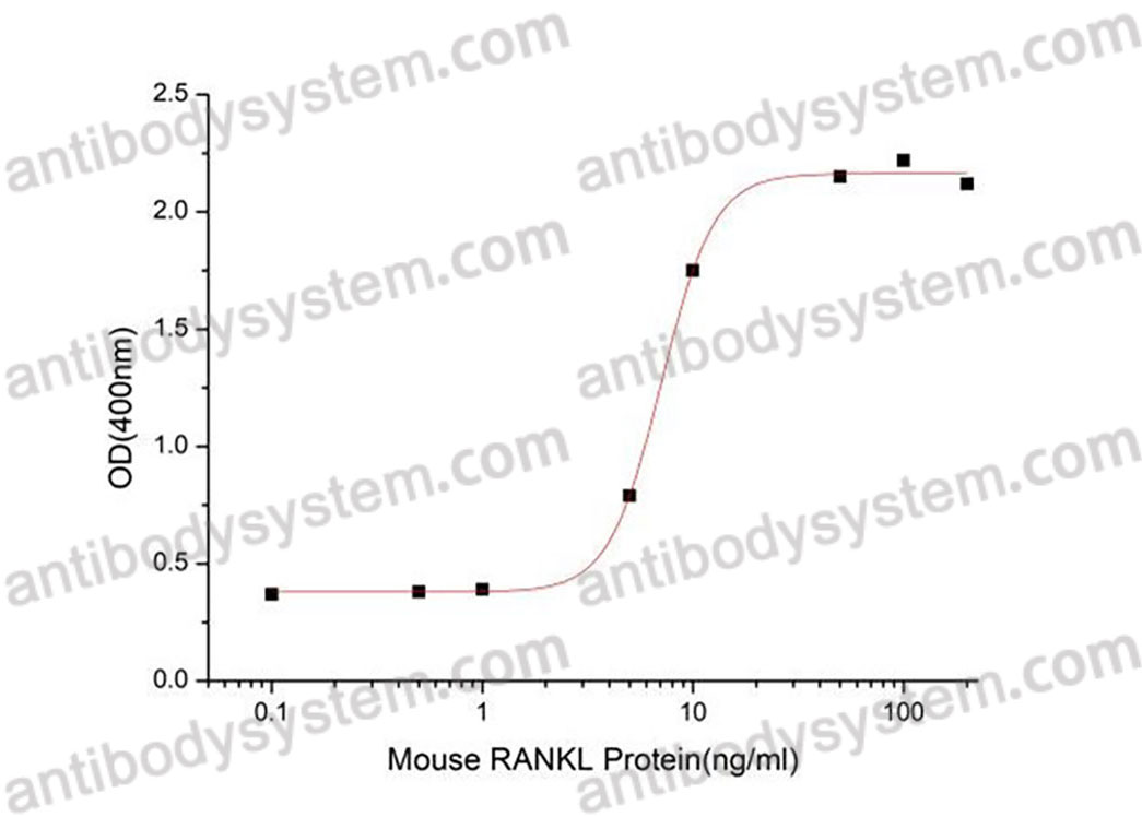 Валидация активности AntibodySystem AMA30301