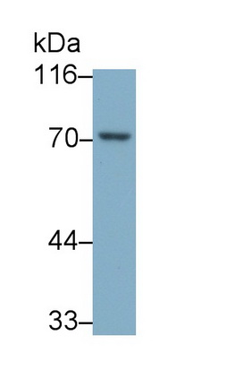 6419