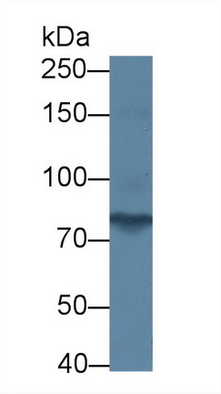 8589