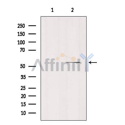 Валидация Affinity DF9634 - 22362