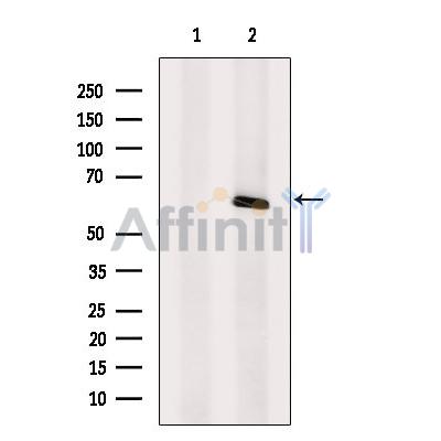 Валидация Affinity DF10216 - 5783