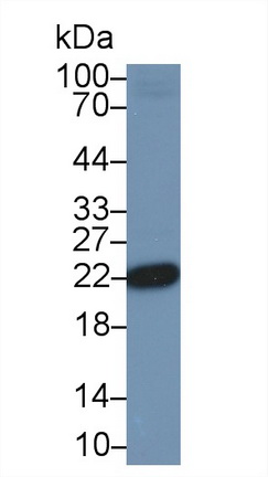 10307