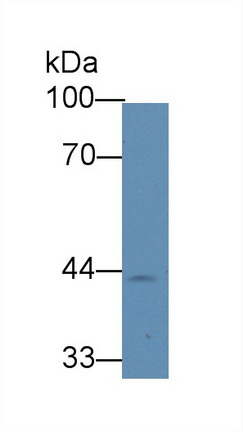 28329