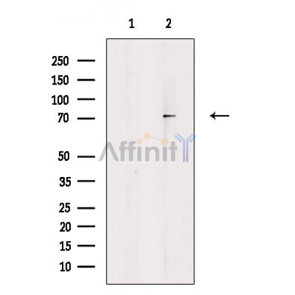 Валидация Affinity DF10126 - 5640