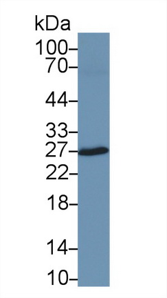 10308