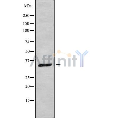 Валидация Affinity DF10239 - 5822