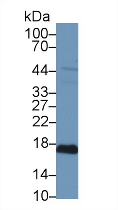 13283