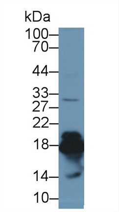 13372