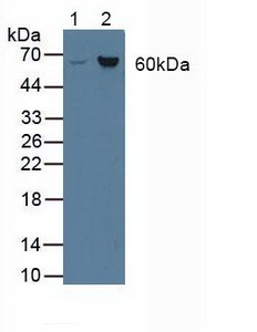 5471