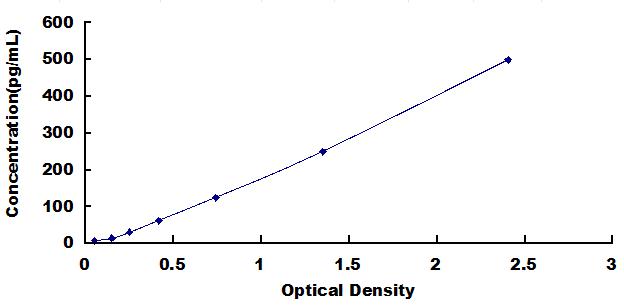 33885
