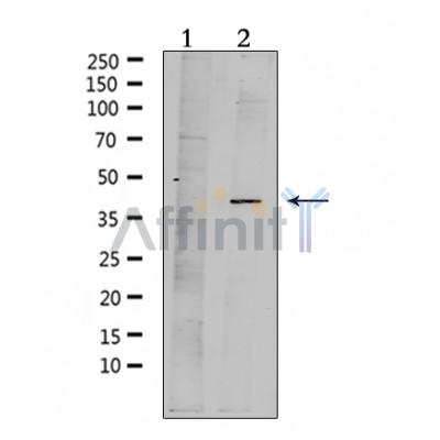 Валидация Affinity DF4987 - 16838