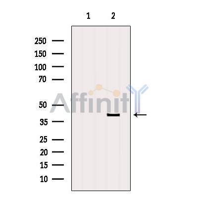 Валидация Affinity DF6602 - 18051