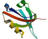 Protein Interacting With Protein Kinase C Alpha 1 (PICK1)